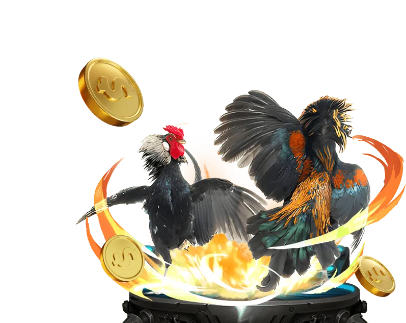 Giới Thiệu Đá Gà Trực Tuyến Zalv Nổ Hũ